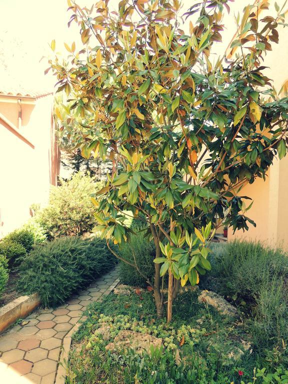 Stoja Apartment Pula Dış mekan fotoğraf